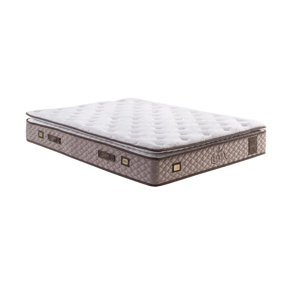 Lit Coffre LUXIA Bambi